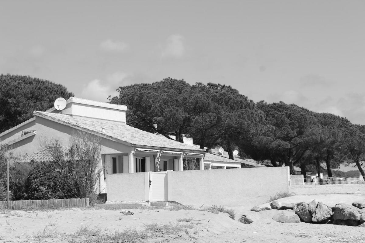 Bord de mer, pieds dans l'eau, vue panoramique Villa San-Nicolao Dış mekan fotoğraf