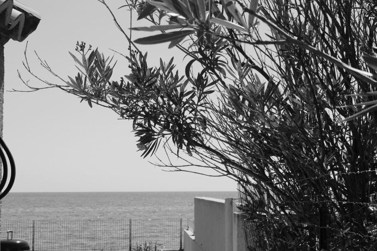 Bord de mer, pieds dans l'eau, vue panoramique Villa San-Nicolao Dış mekan fotoğraf