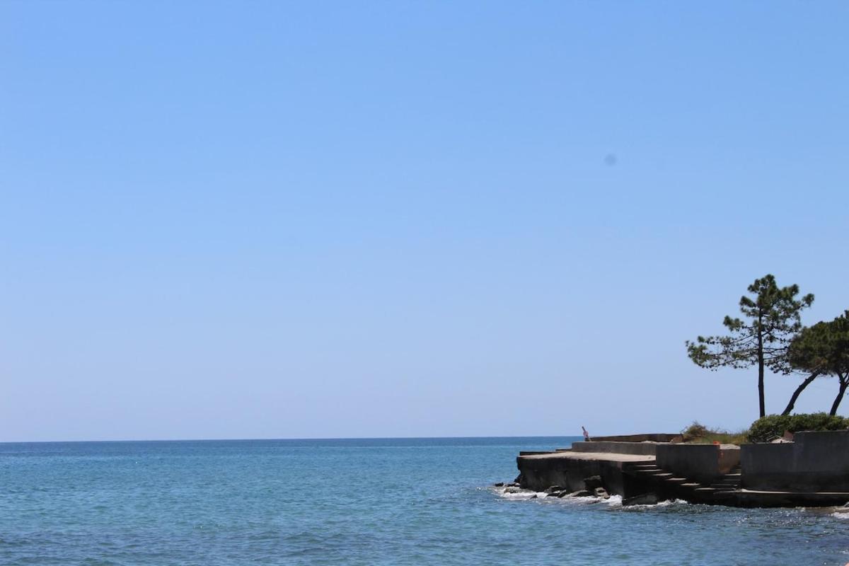 Bord de mer, pieds dans l'eau, vue panoramique Villa San-Nicolao Dış mekan fotoğraf