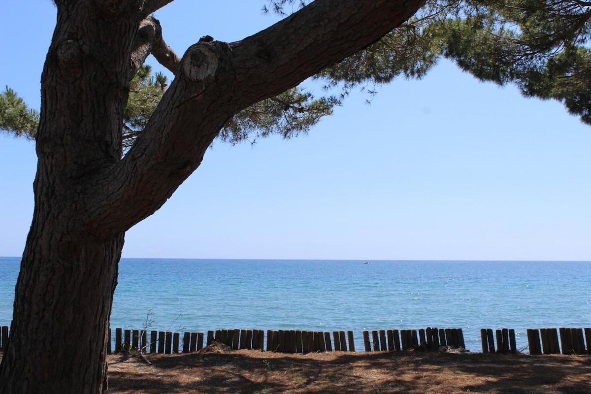 Bord de mer, pieds dans l'eau, vue panoramique Villa San-Nicolao Dış mekan fotoğraf